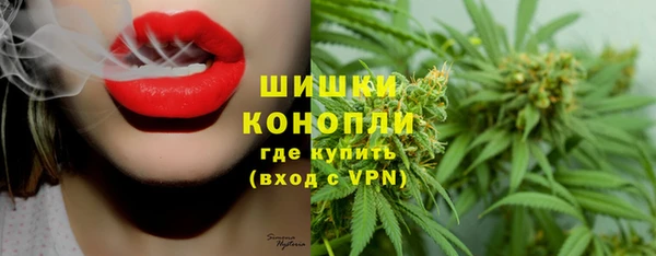 гашик Михайловск
