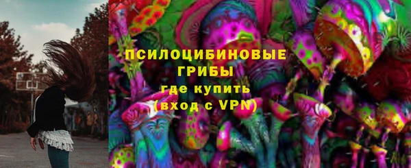 ПСИЛОЦИБИНОВЫЕ ГРИБЫ Алексин