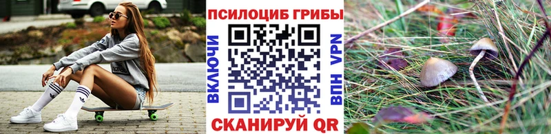 как найти наркотики Абдулино Псилоцибиновые грибы Magic Shrooms